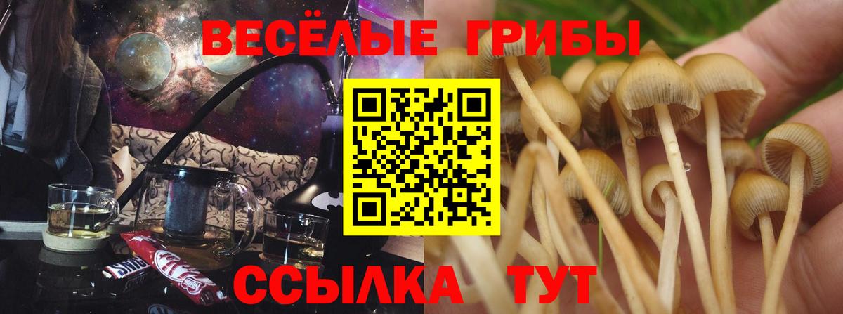 Псилоцибиновые грибы MAGIC MUSHROOMS  Вход с VPN  Новочеркасск 
